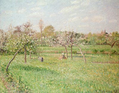 Apfelbäume in Gragny, Nachmittagssonne, 1900 von Camille Jacob Pissarro